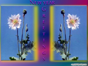 free new year pictures, wallpapers