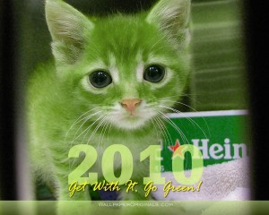 happy new year cat wallpaper, picture